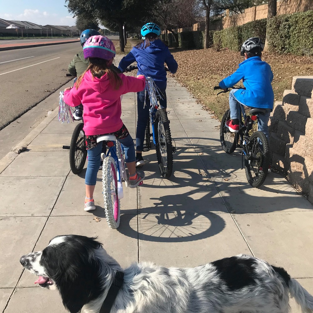 Meet your Posher, Jj